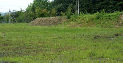 0707-1.jpg