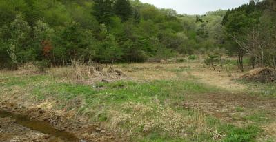 0707-3.jpg
