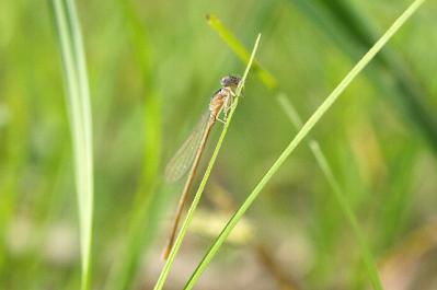 0707-4.jpg