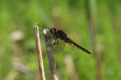 0707-5.jpg