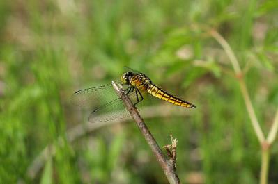 0707-6.jpg