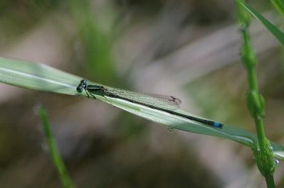 0707-7.jpg