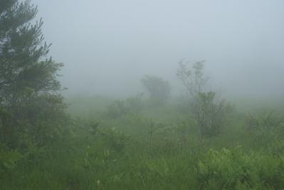 0717-1.jpg