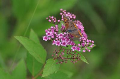 0717-6.jpg