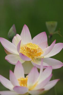 0727-8.jpg