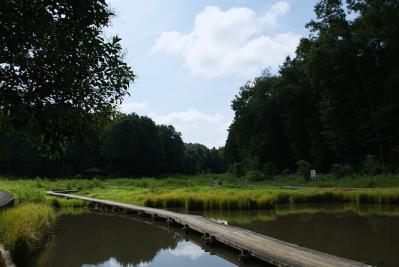 0809-1.jpg