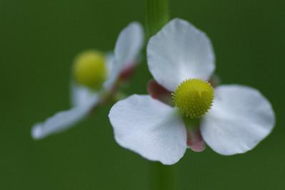 0809-9.jpg