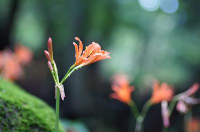 0818-8.jpg