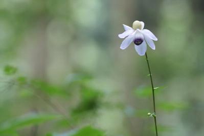 0818-9.jpg