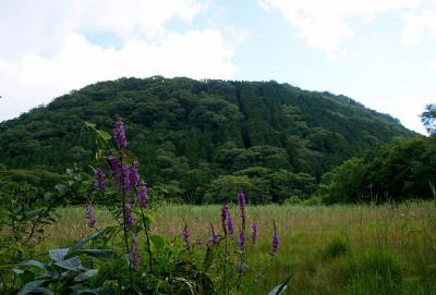 0820-2.jpg