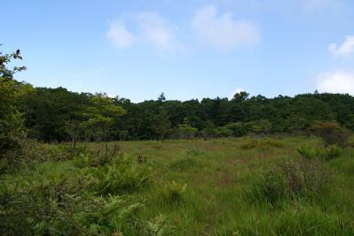 0821-4.jpg