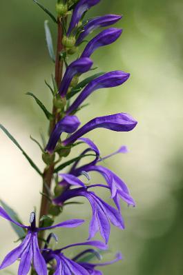 0822-9.jpg