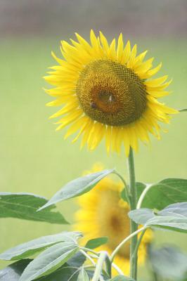 0829-4.jpg