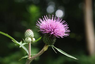 0904-6.jpg