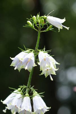 0904-7.jpg