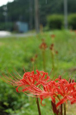 0918-9.jpg