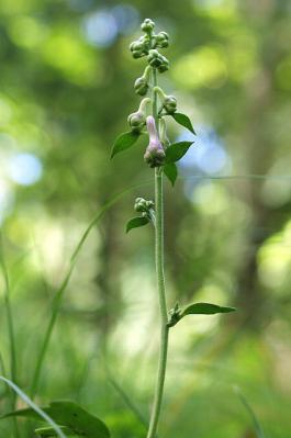 0919-7.jpg