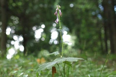 0919-8.jpg