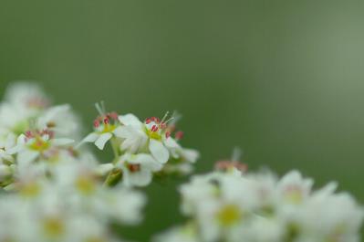 0922-4.jpg