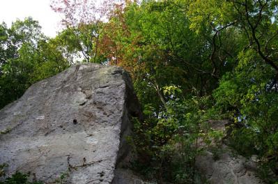 1016-8.jpg