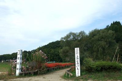 1017-6.jpg
