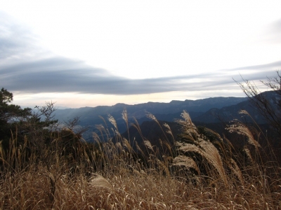 IMG_4531.jpg