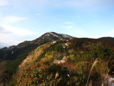IMG_4534.jpg