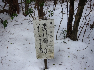 IMG_4537.jpg