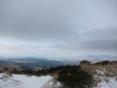 IMG_4547.jpg