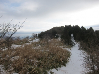 IMG_4549.jpg