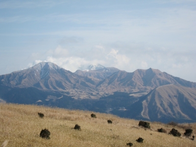 IMG_4559.jpg