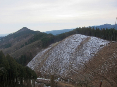 IMG_4629.jpg