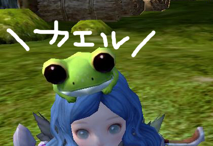 kaeru.jpg