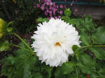 IMG_10022.jpg