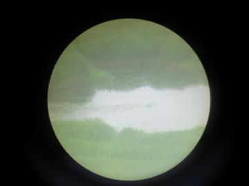 こったろ1