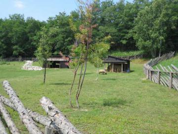 IMG_2524.jpg