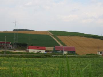 丘の風景2