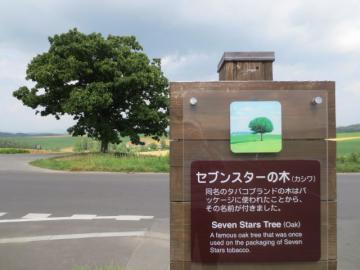 セブンスターの木