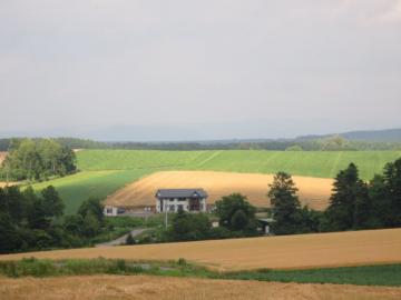 丘の風景3