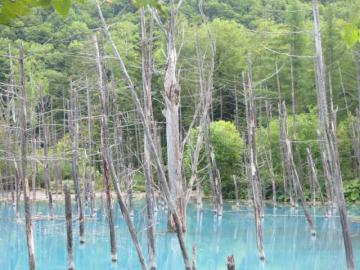 IMG_2757.jpg