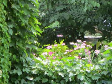 IMG_2967.jpg