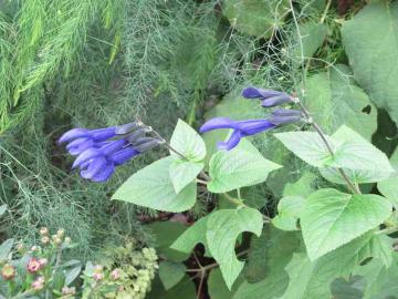 IMG_3674.jpg