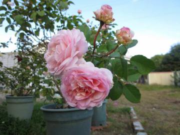 IMG_3843.jpg
