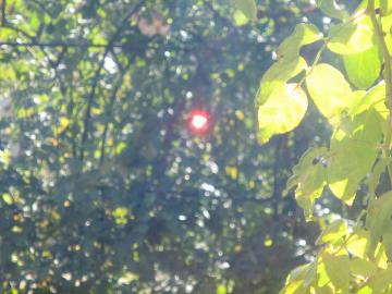IMG_3935.jpg