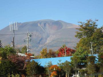 IMG_3988.jpg