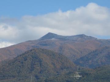 IMG_4038.jpg