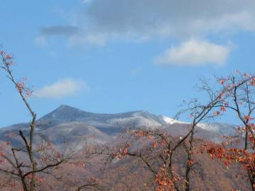 IMG_4115.jpg