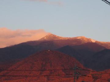 IMG_4117.jpg