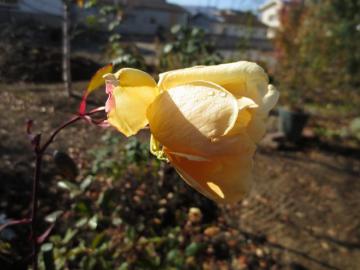 IMG_4173.jpg