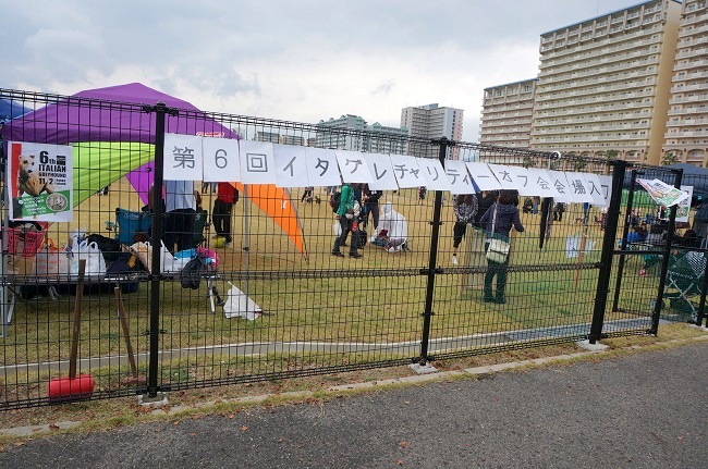 コピー ~ DSC05941